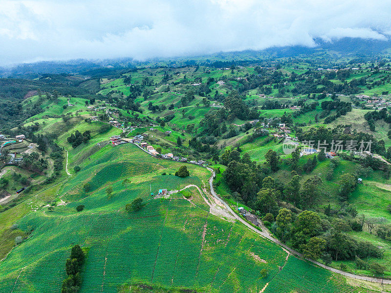 Farm on the outskirts of Medellín, Colombia